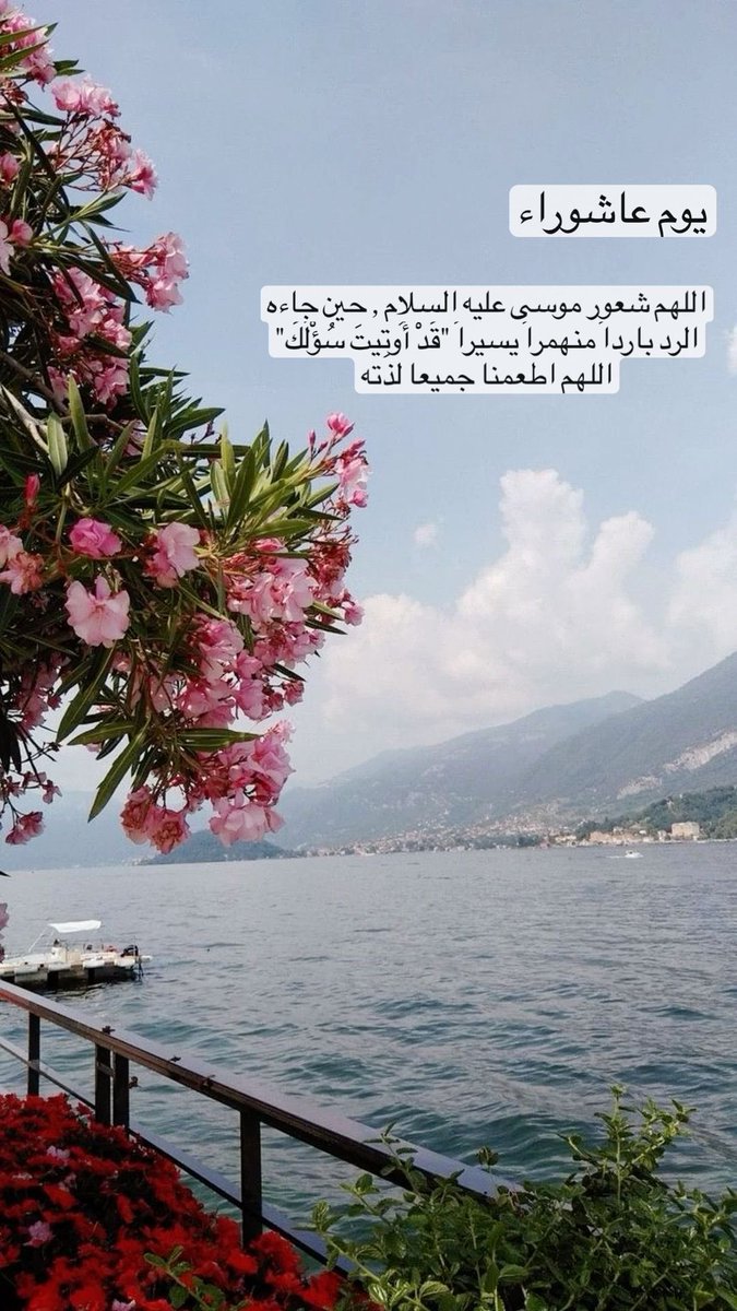 Haboabdo tweet picture