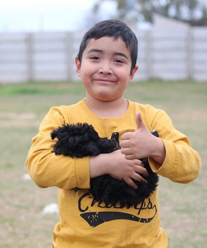+INFOdeFirmat #BuenasNoticias #TodosxLolo
Lolo alcanzó el objetivo
El pequeño firmatense logró el monto para pagar la inyección que debe colocarse el 24 de Julio en Córdoba. 
buff.ly/4dkxcLV