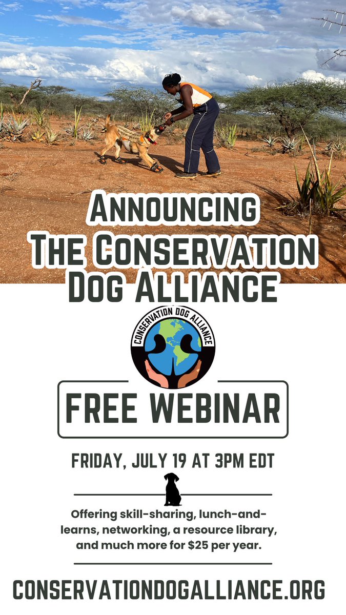 Kayla Fratt (she/her) tweet media