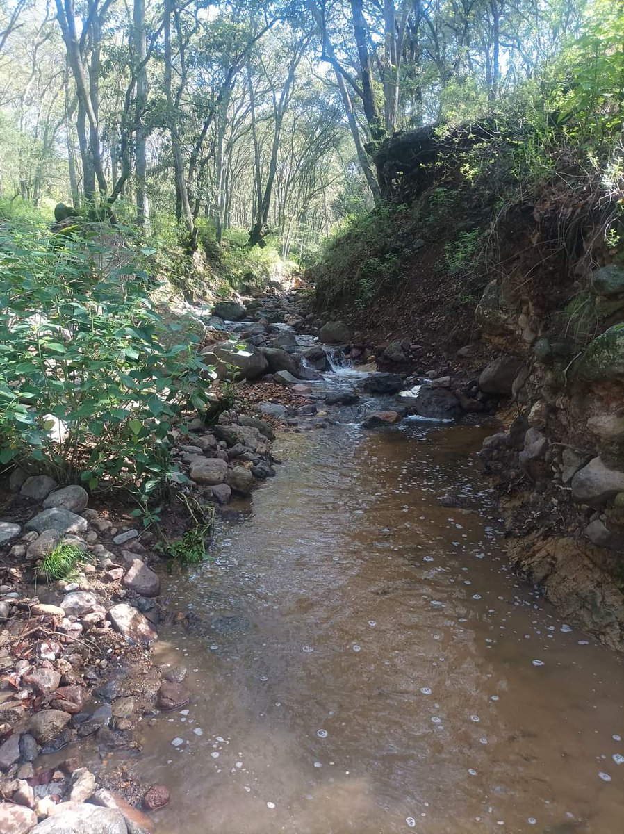 Nosoypelusa's tweet photo. Ser diferente en un mundo donde todos son iguales marca la diferencia...
#PrefieroLaMontaña #TrailLover #Ultra4eva #UltraDeMente #UltraBeast https://t.co/NnVc7wzU6l