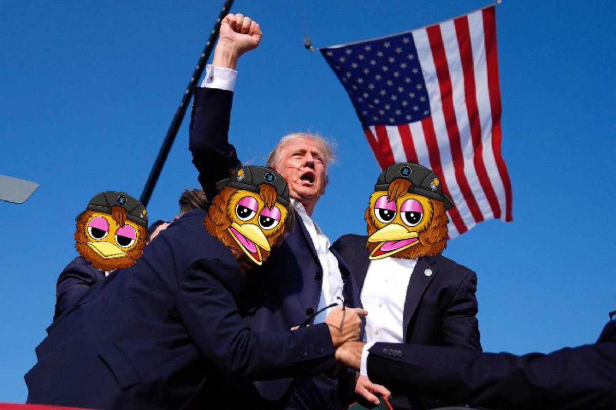 Corey_Ape's tweet photo. Just got back from euros final back active now hunting, aped some $DUCKY 🦆 

Matt furie szn is poppin off and the memes look good I see them pushing insta tiktok etc so grabbed a big bag here hoping it’s next furie coin to blow 💨 

@duckyduckclub https://t.co/0nOKPlLvs6