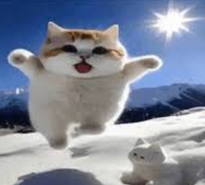 Netca1u's tweet image. Nova pack cinéfila moots