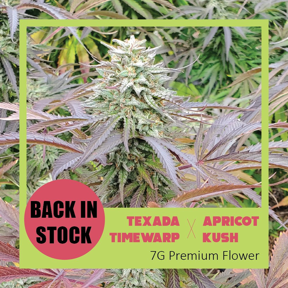 This Premium Craft Flower has been hard to keep in stock #🔥.  Recently replenished tho - grab while the gettin's good 

#Flower #Craft #Organic #TexadaTimewarp #Timewarp #ApricotKush #7G
