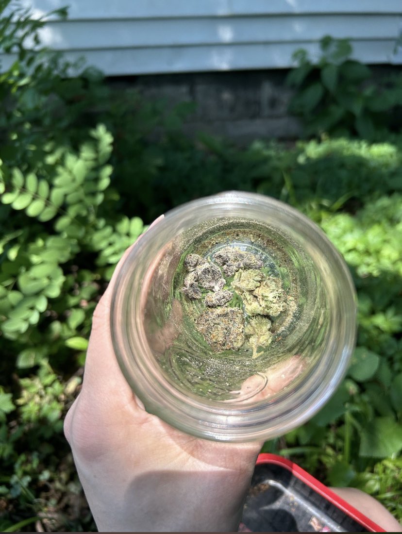 WhiteSlime92871's tweet photo. Gassy 🍃😮‍💨
#weedgalway #weedcork #weedlimerick #weedwaterford #weedkilkenny
#weedbelfast #weedkinsale #weedkillarney #weedwestport #waterford #waterfordweed #galwayweed #killarneyweed #Cork #corkweed #corkplug #belfastplug #ukcannabis #ukfinest https://t.co/V6fLL4rXSs