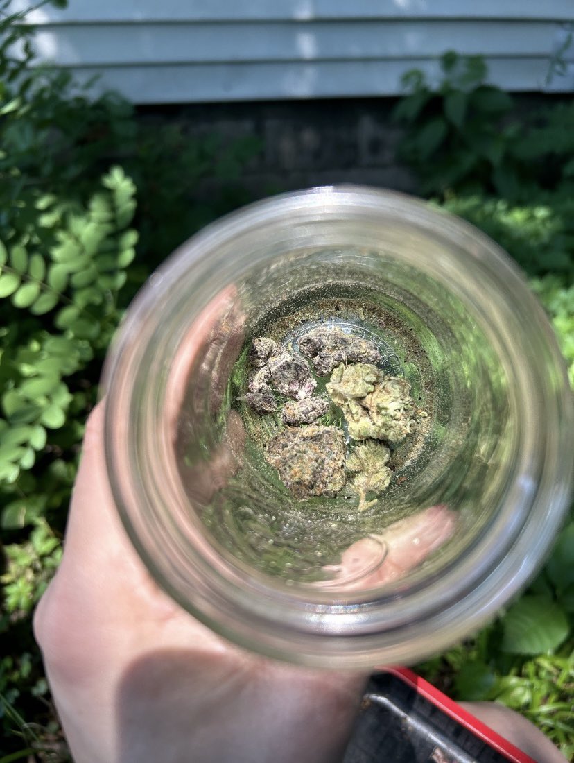 WhiteSlime92871's tweet photo. Gassy 🍃😮‍💨
#weedgalway #weedcork #weedlimerick #weedwaterford #weedkilkenny
#weedbelfast #weedkinsale #weedkillarney #weedwestport #waterford #waterfordweed #galwayweed #killarneyweed #Cork #corkweed #corkplug #belfastplug #ukcannabis #ukfinest https://t.co/V6fLL4rXSs
