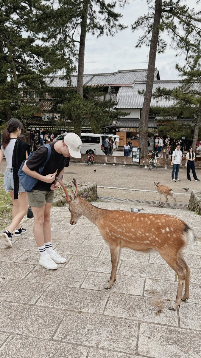 allan tweet media