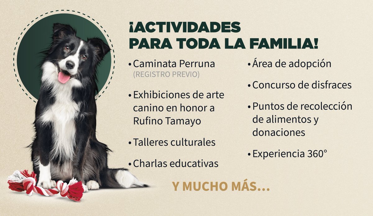 Gobierno de la Ciudad de México tweet media