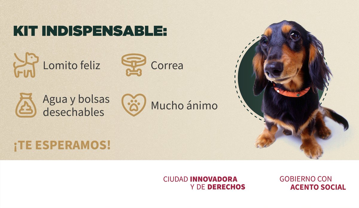 🐶 Aquí amamos a los lomitos. 💕

🐾 ¡No te pierdas el #PerrotónPILARES! 🐕 Evento gratuito en el que celebramos a nuestros fieles amigos con actividades culturales y artísticas para toda la familia. 👨‍👩‍👦‍👦 

Encuentra a tu nuevo compañero en el área de adopción 💖, apoya a refugios