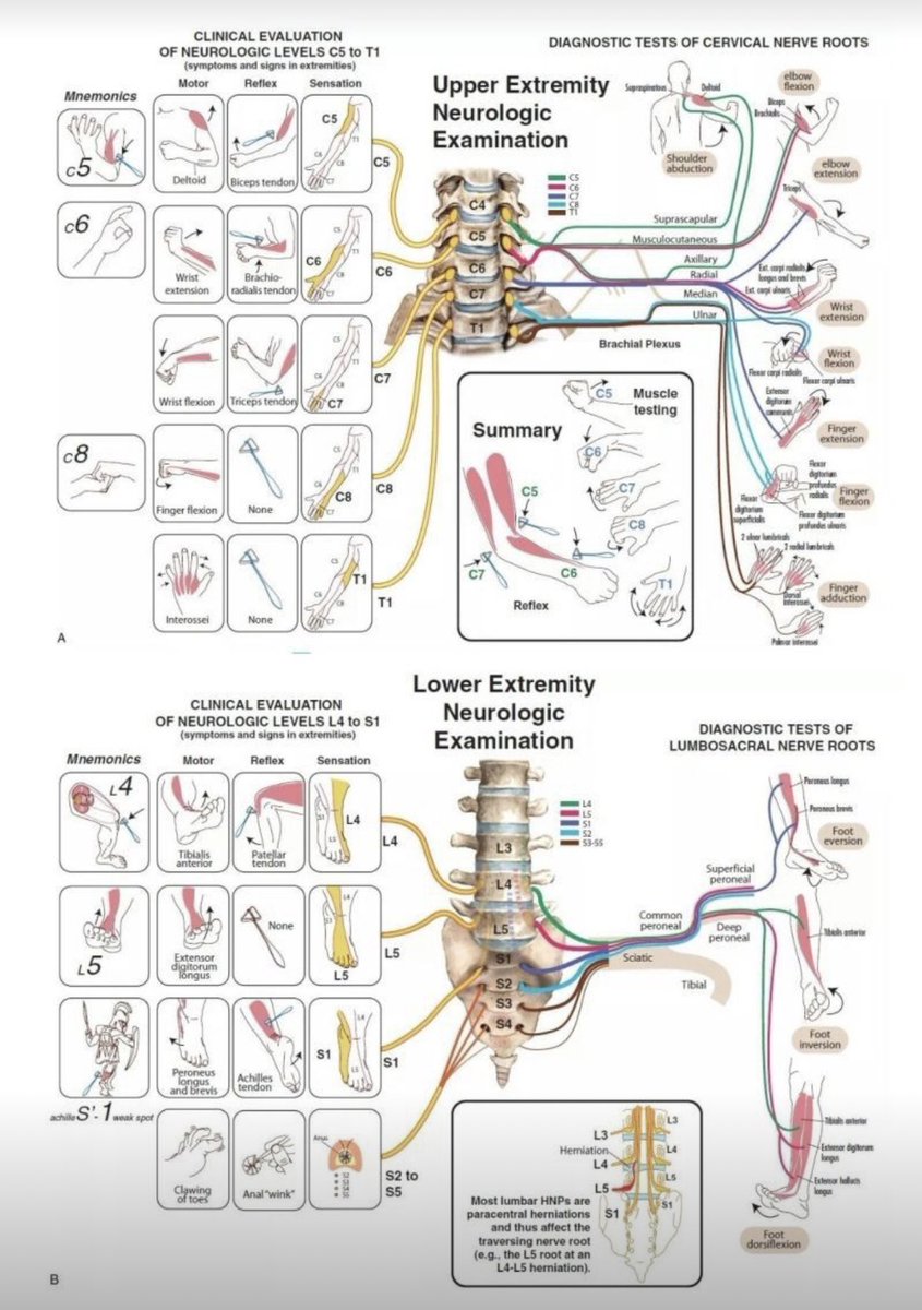 Abdullah Sulieman Terkawi, MD, MS(Epi) tweet media