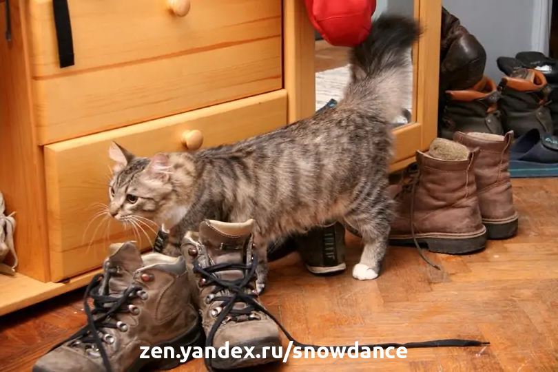 Redme_6's tweet photo. @lgj170 Утром оба умника (клоуны-недоумки) будут свои тапки вылизывать! https://t.co/cYcayGCrdm