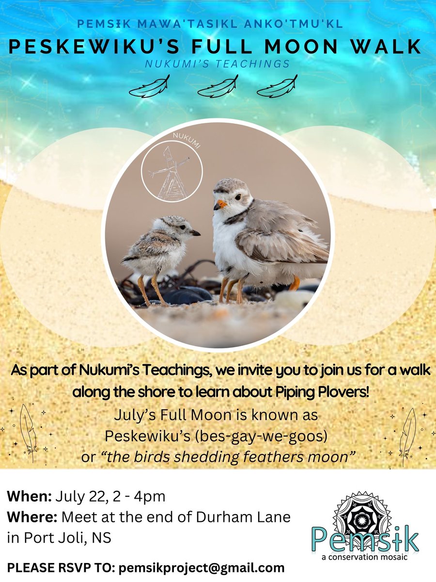 Mel7Labrador's tweet photo. PLEASE SHARE!
July we celebrate Peskewiku's full moon or "birds shedding feathers moon". We'll be gathering along the shorelines of #Pemsik on July 22 from 2-4pm at the end of Durham Lane in #PortJoli, #NovaScotia sharing knowledge on #Plovers & #Shorebirds!
Bring binoculars! https://t.co/Watwow3ze2