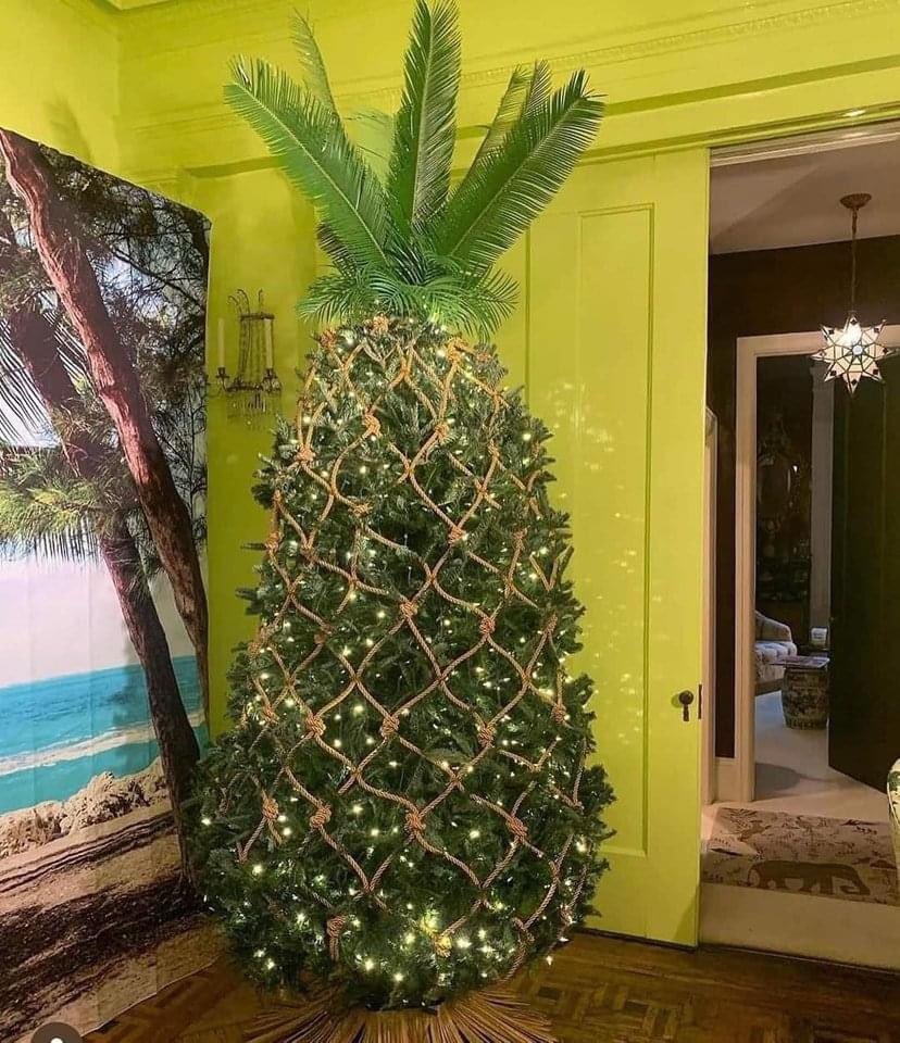 establishedin76's tweet photo. @LocalCelebLogan this should be your next Christmas tree!!! https://t.co/CyV92kCsVU