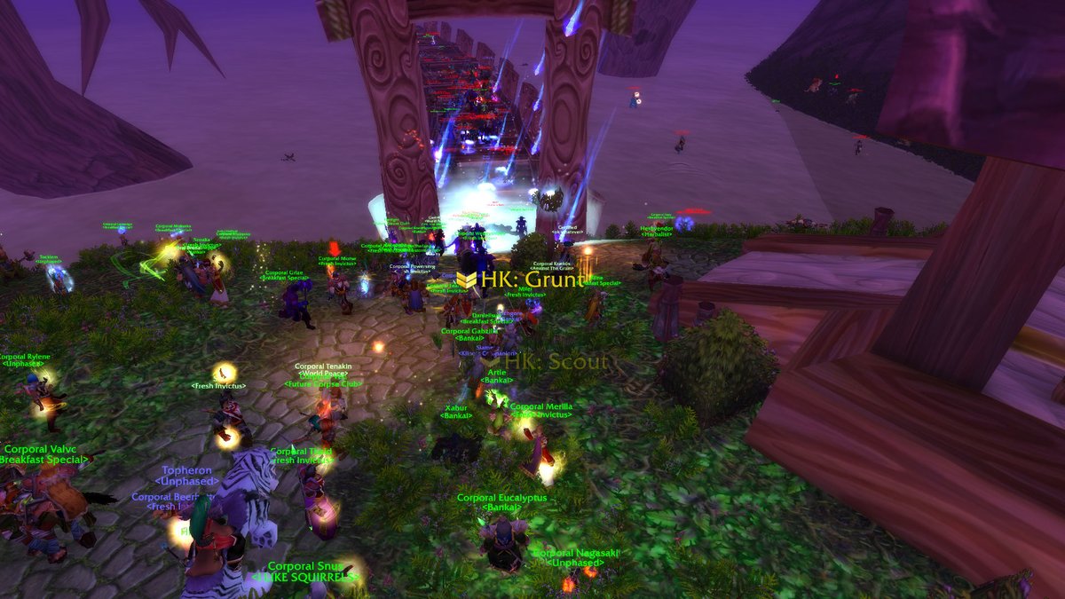chrissyxchi's tweet photo. Teldrassil is safe once again 🫡 https://t.co/3bdykjdNuc