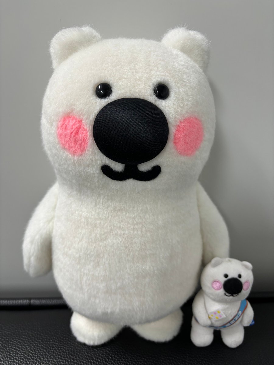 くま　※まとめ買い7点※ ぷかぷか推し色おすわりくまちゃん| おもちゃ・ホビー・ゲーム