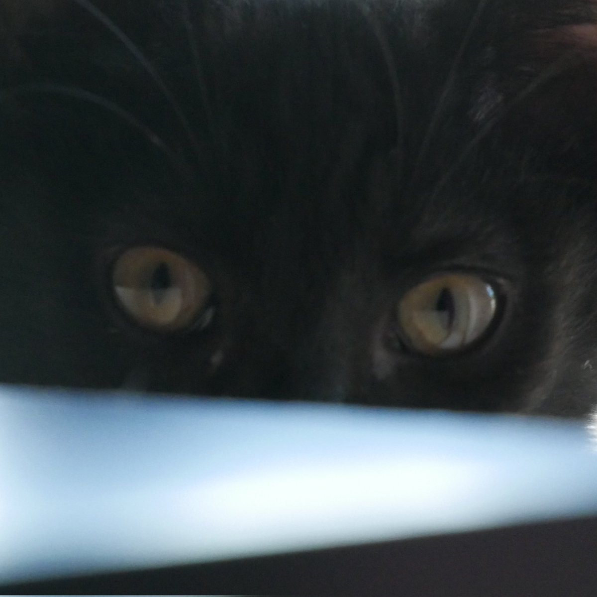 Andi Candi tweet media