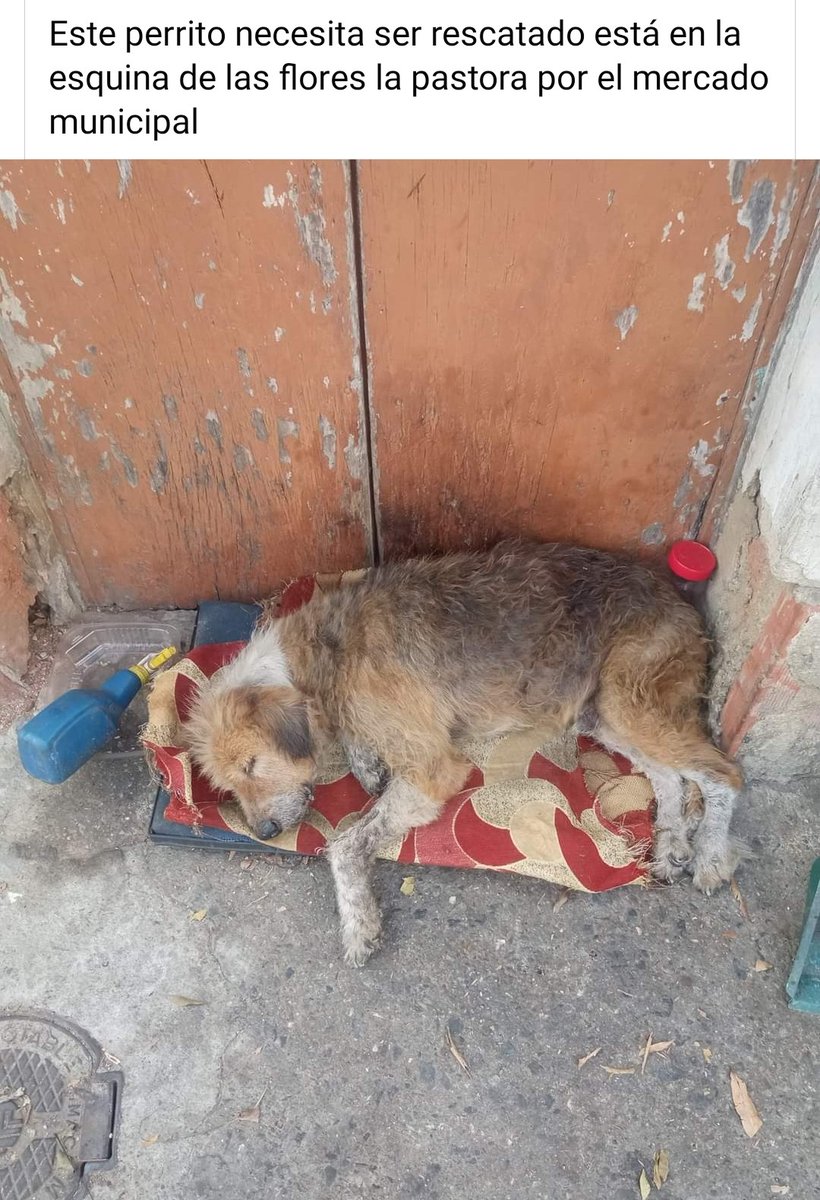 Sin mayores detalles de lo que tiene ni número de contacto