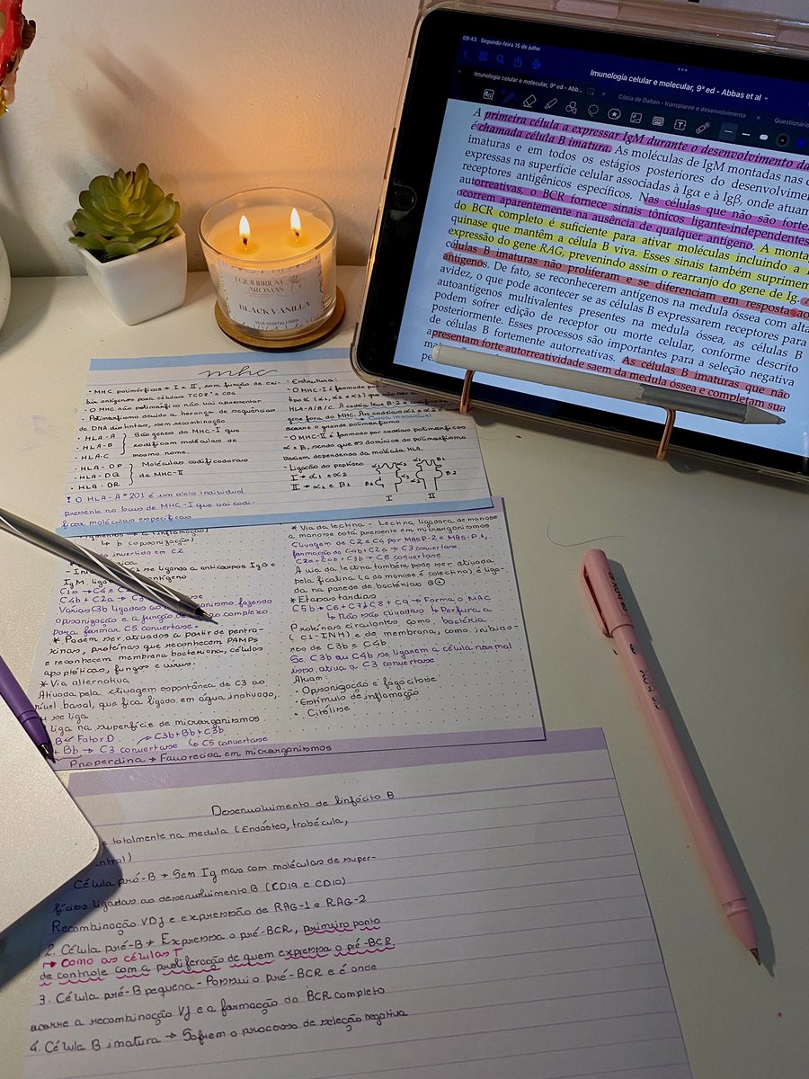 estevamstudy's tweet image. fim de período vibes ✨✨