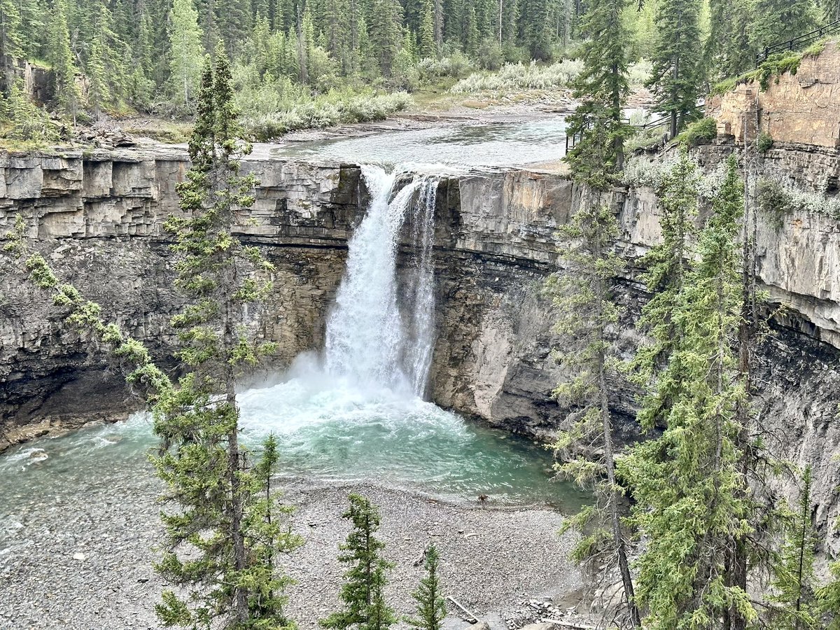 Lily DesertWave 🔮🌈🏳️🌈🦄 tweet media