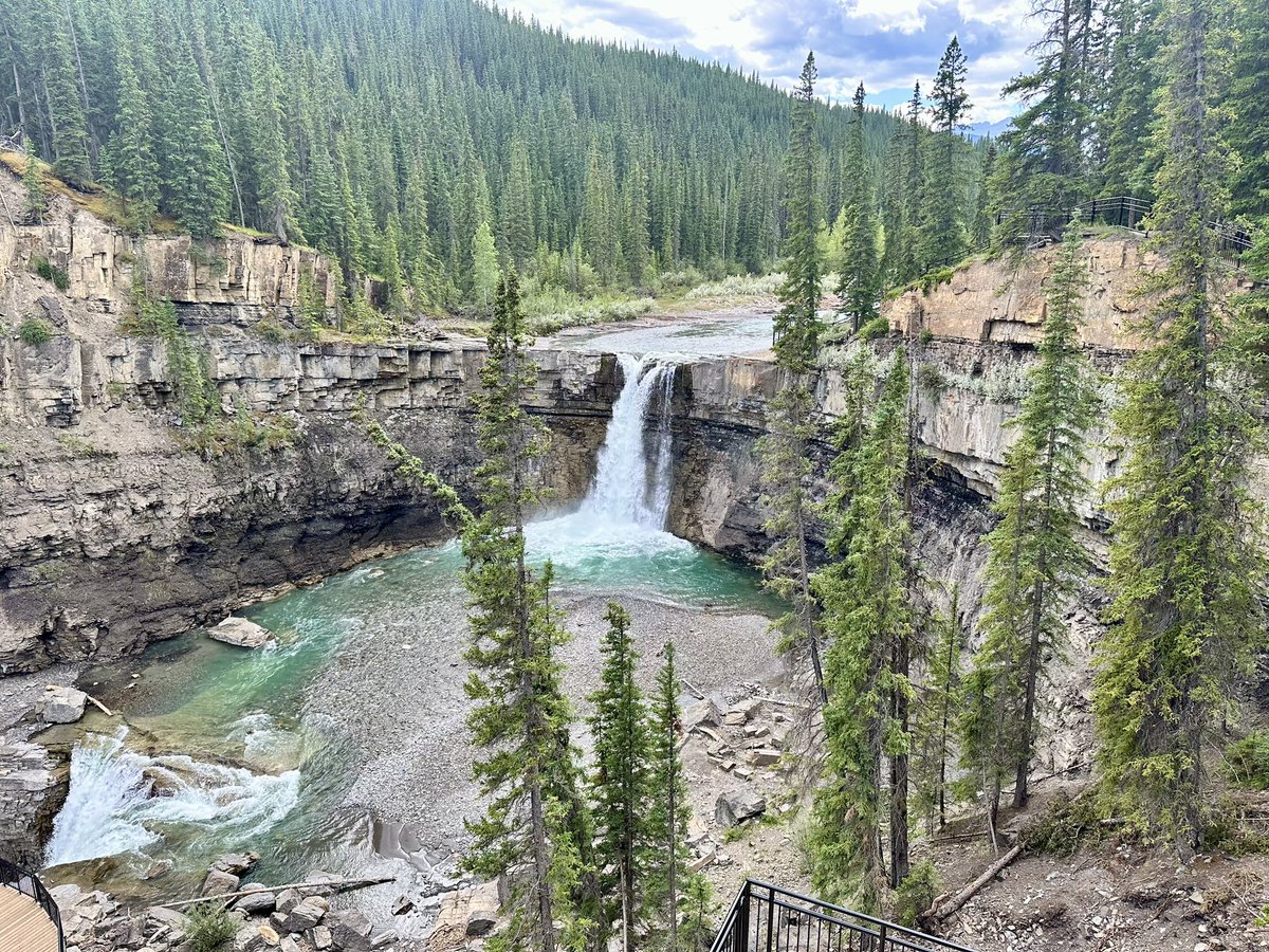 Lily DesertWave 🔮🌈🏳️🌈🦄 tweet media