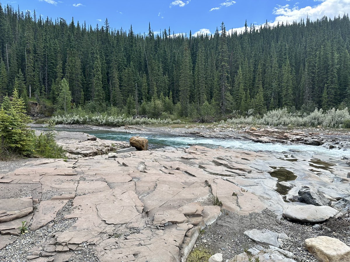Lily DesertWave 🔮🌈🏳️🌈🦄 tweet media