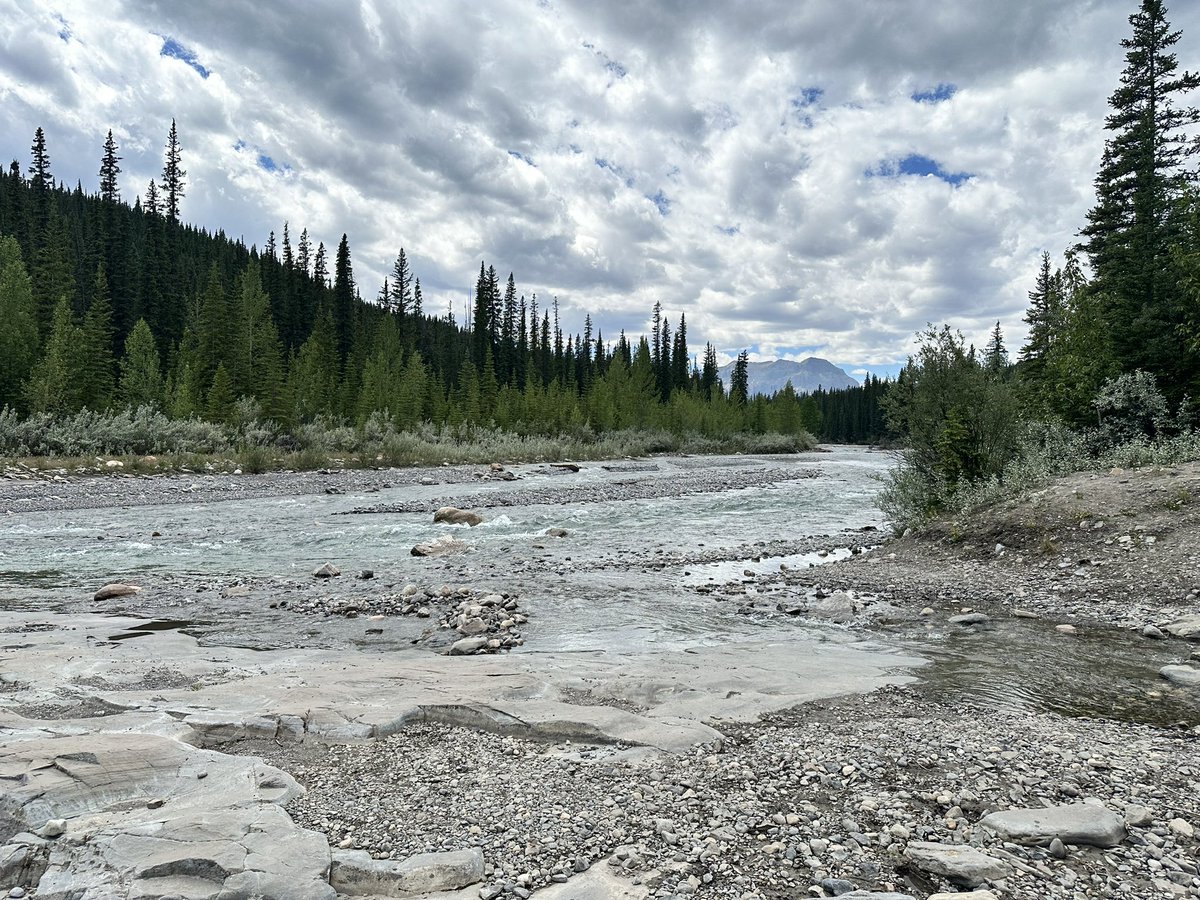 Lily DesertWave 🔮🌈🏳️🌈🦄 tweet media