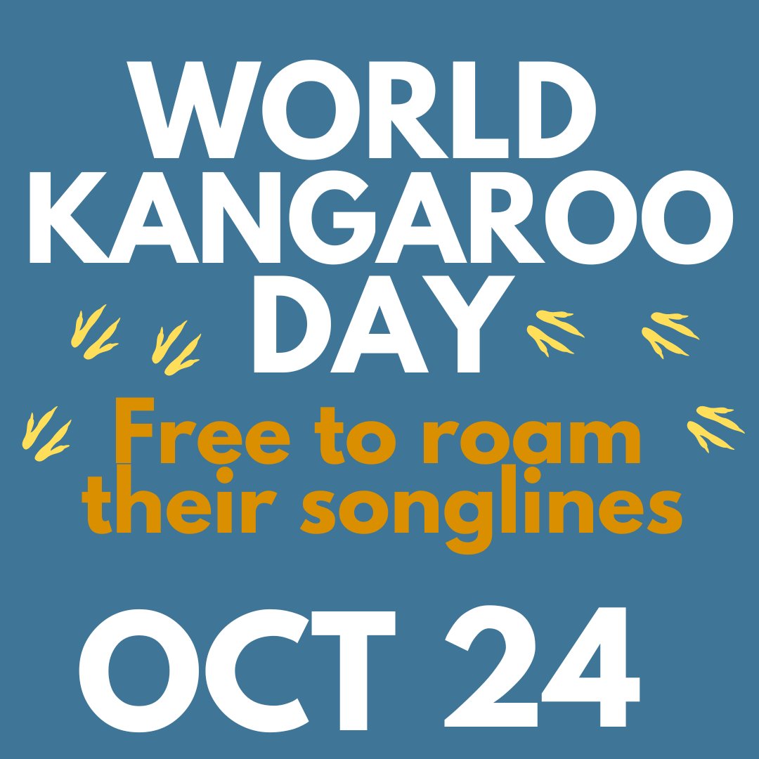 kangaroosalive's tweet photo. Now in its 5th year WORLD KANGAROO DAY is back on Oct 24.
Kangaroos Alive &amp; partner Back to Country are excited to be launching 
World Kangaroo Day 2024
https://t.co/04AkuKnSR5
The theme
Free to Roam their Songlines
#kangaroosalive #worldkangarooday #coexistenceproject #kangaroo https://t.co/tC55UhPA1y