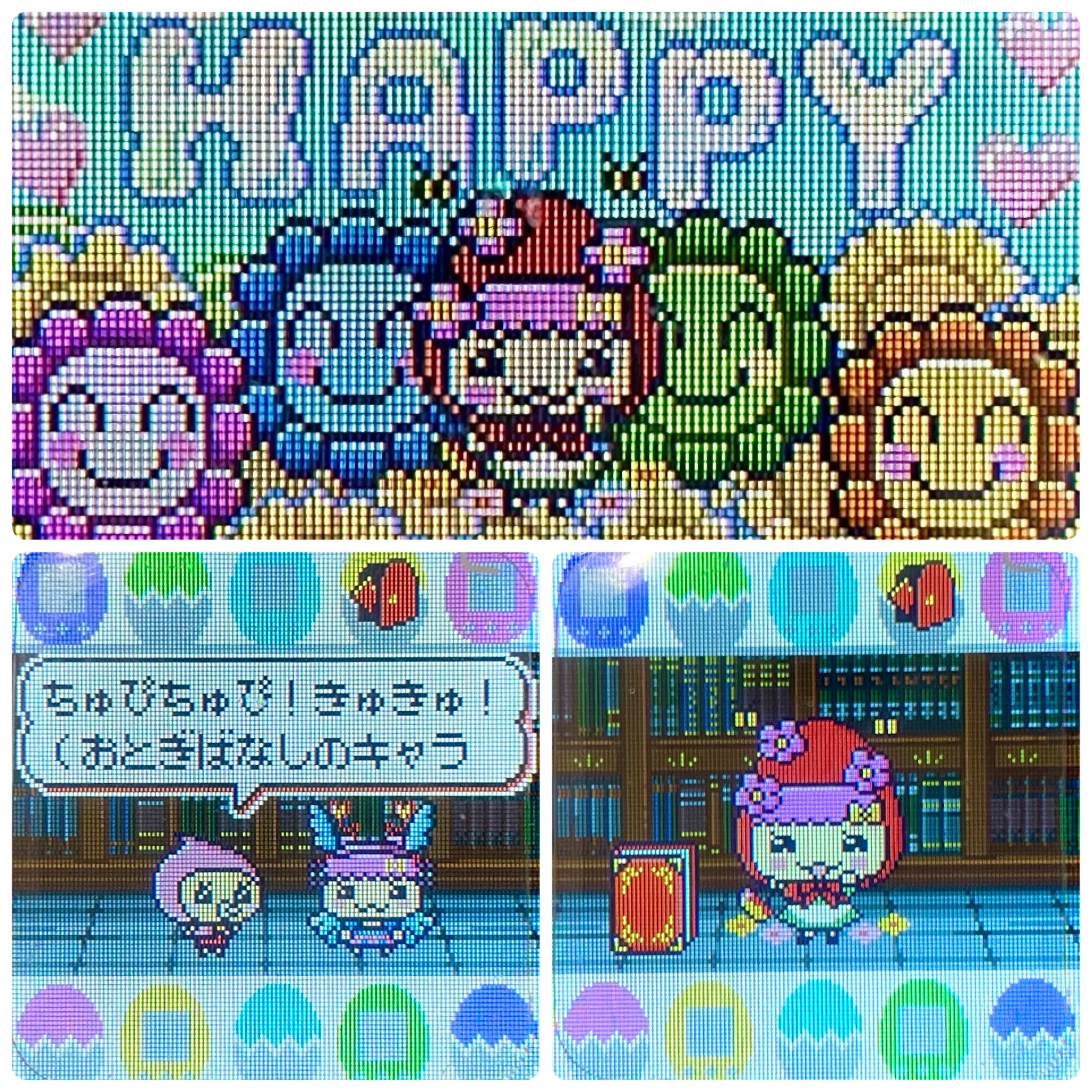 きぐるみ（たまごっち꜆ ᐢɞᐢ ）꜆ on X: 