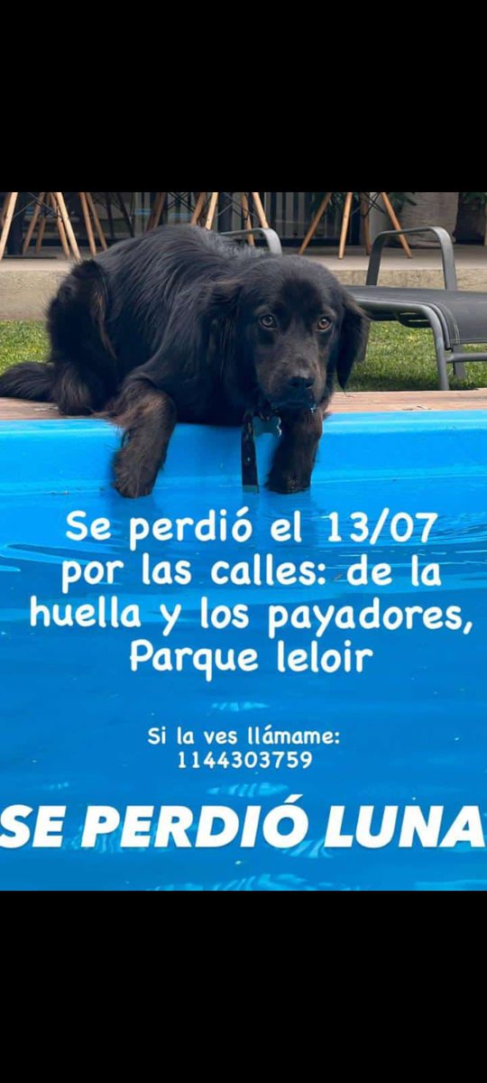 patripeyrou's tweet photo. Recompensa https://t.co/qUI6HDfnBX