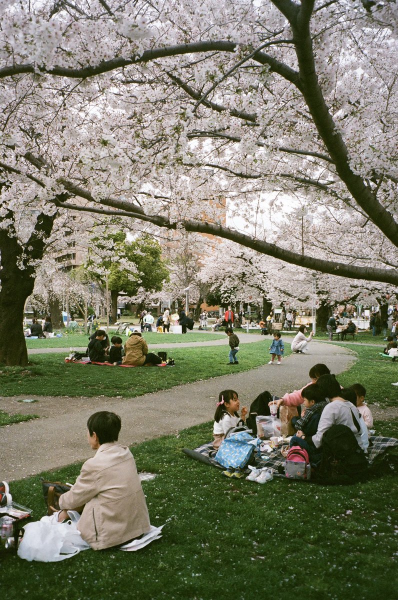 oddityichi's tweet photo. japan/35mm 
#film https://t.co/EFujnuLXiI