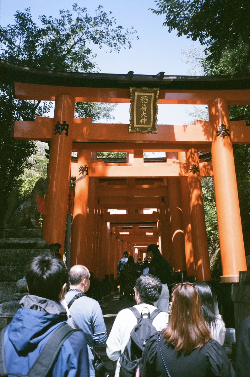 oddityichi's tweet photo. japan/35mm 
#film https://t.co/EFujnuLXiI
