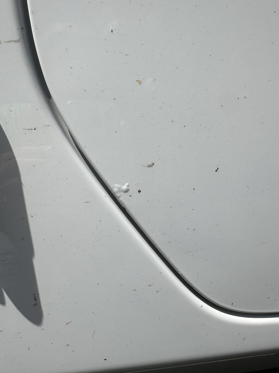 StaceyYusi's tweet photo. if you have purchased a @Jeep in the last 5+ years check your paint on the doors /hood! There's a known defect with the paint and it just bubbles &amp; peels. Here I am w/ a 5 y/o Jeep, peeling paint &amp; nobody will honor the warranty or perform the repairs. Jeep needs to fix this. https://t.co/4MfPcSUVaC