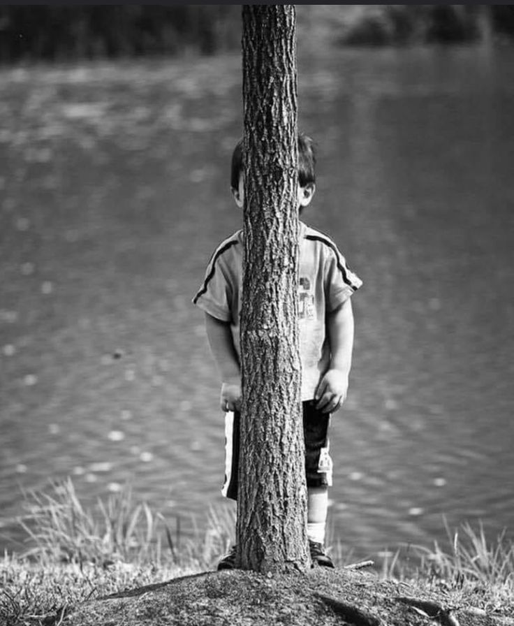 Eigenket's tweet photo. @jjmunozrengel En un giro del destino, los árboles han comenzado a robar el protagonismo en cada foto. Lo que antes eran retratos de seres queridos en paisajes bucólicos, ahora son sombras humanas eclipsadas por troncos y ramas que buscan su espacio. ¿Será que la naturaleza reclama su fama? https://t.co/thp7Vdu70Q