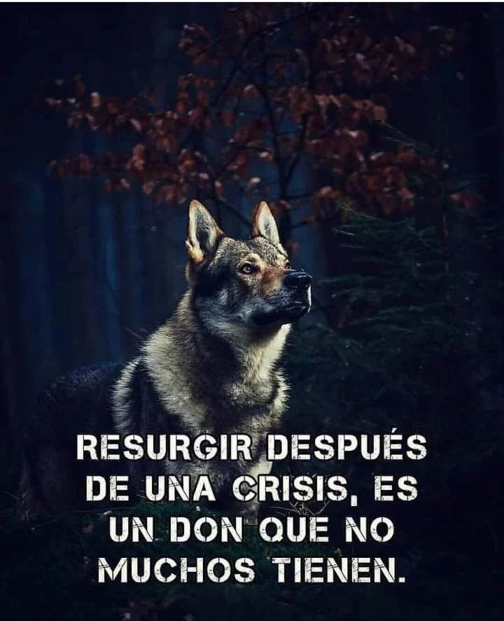 ASI ES!