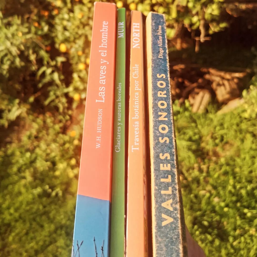 Diego Alfaro Palma tweet media