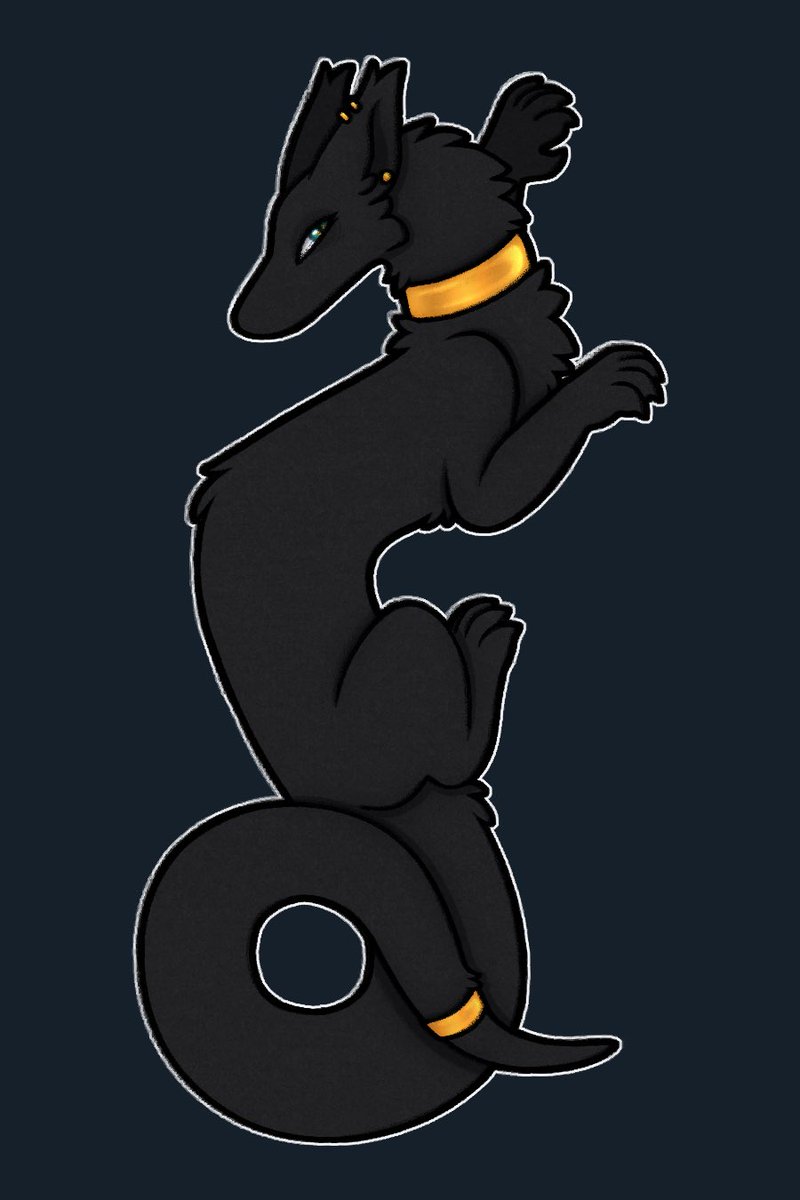 🐾dragon pawz🐾 (Nova) tweet media