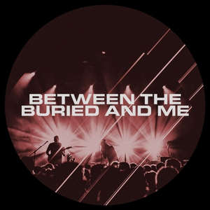 Lexort25's tweet photo. What band have you seen the most times live?

I've seen BTBAM 8 times! https://t.co/FGhcBDphXj