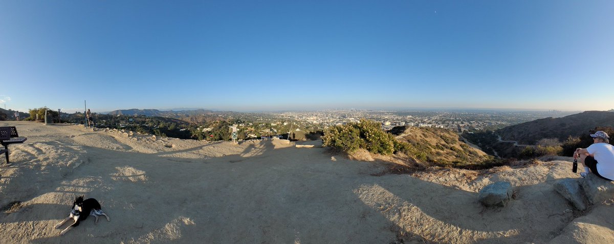 thecrypticcafe's tweet photo. @DavidSacks @elonmusk LA cityscape and a dog. https://t.co/LvxLMTaKsn
