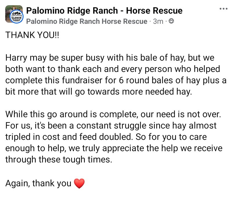 PRRHorseRescue's tweet image. Please know that yes we now have funds for 6 round bales, this need is ongoing. You can help us at any time. 
Hay is always a great need. 

Linktr.ee/PRRHR

#Thankful #Horses #RescueHorses #RescueEquine #Support #Donate