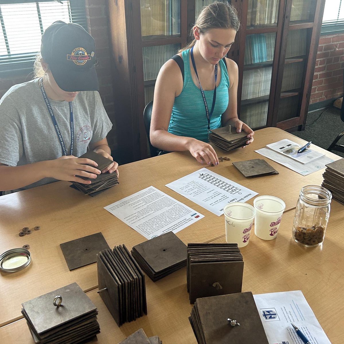 ThomasMore Field Station tweet media