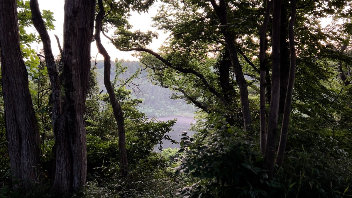 wildowl1219's tweet photo. My YouTube channel has over 180subscribers!  and The full version of this video has surpassed 1,000 views! ↓↓↓↓ 
https://t.co/zqtSBkYxS7 YouTubeチャンネル登録者数180名突破しました！  #bushcraft #camping #camp #ブッシュクラフト #キャンプ #ソロキャンプ #タープ泊 https://t.co/JxCYJeXUDC