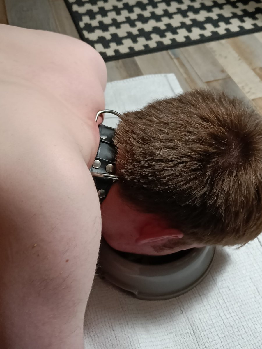Theo47693126's tweet photo. Je viens de retrouver ces photos d'un plan réalisé en octobre 2023.
Un moment bien agréable où je me suis sentie à ma place de soumis https://t.co/gkZWOVV6yL