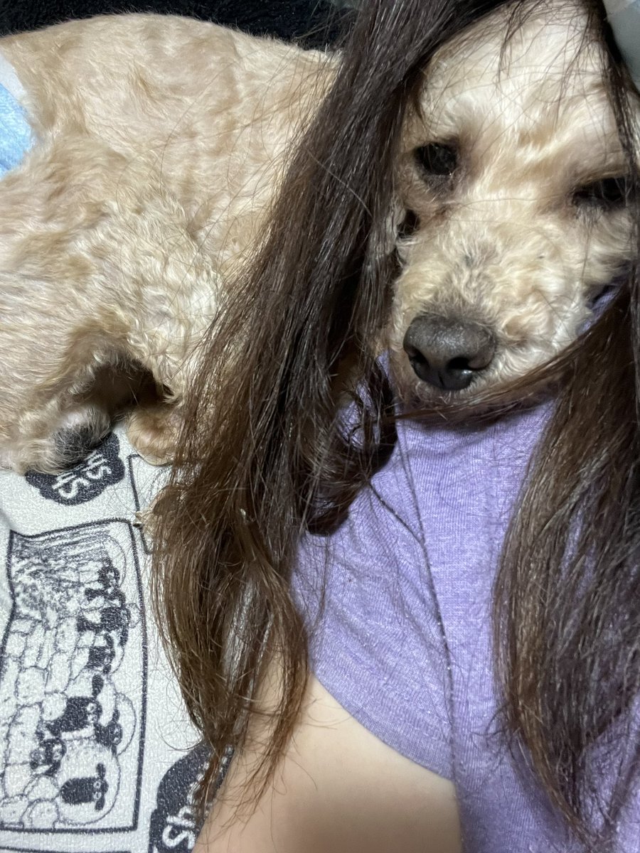 txhbr's tweet photo. @matsu_bouzu 犬です🤣 https://t.co/uNgIoNYeW1