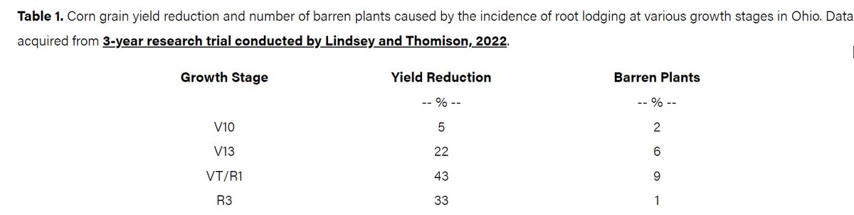 Some experienced 100+mph winds this evening as the cold front moved thru.  Down corn and "willowed" corn is pretty widespread.  How much yield loss will this create??  Nobody knows for sure but the closer to pollination the greater the yield loss.
Willowed (arched) corn before