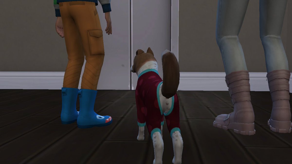 gabimarquez61's tweet photo. We have a new pet in one of my Sim families. #showusyourpets #sims4pets #thesims4pets #lossims4pets #simspets #thesims4 #sims4 #lessims4 https://t.co/NSdtBItP6E