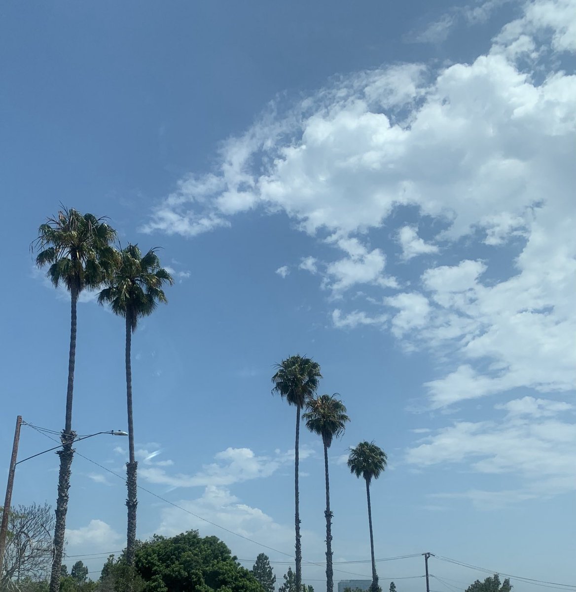 melsteph0801's tweet photo. Palm trees, sunshine, and gorgeous canyons…a beautiful day for work in California. Yes!!! So excited to be part of an educational collaborative looking at ways to best serve students! #bepresent #leaderskeeplearning #giveback https://t.co/X4YWX88Kh2