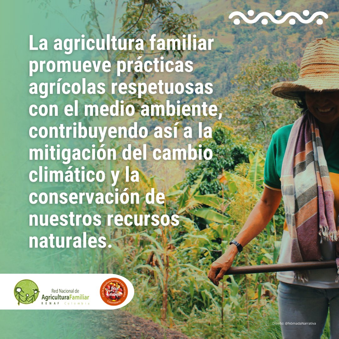 AIAFcolombia's tweet photo. 👩‍🌾🧑‍🌾 #ACFEC  🌎🌱✊️

#AgriculturaFamiliar #CambioClimático #ConservaciónAmbiental #PrácticasSostenibles #HéroesDelCampo #Biodiversidad #ProducciónSostenible #FuturoVerde #Agroecología #MitigaciónDelCambioClimático #SemillasBienComún #RedSemillasLibres #ACFEC https://t.co/6estmcy32g