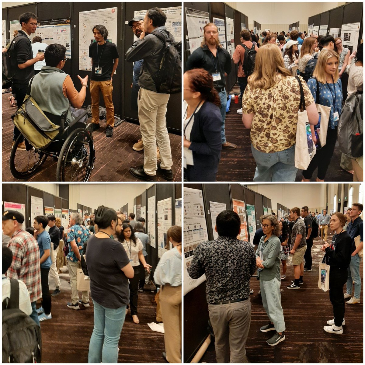 <a href="/SocDevBio/">Society for Developmental Biology</a> #2024SDB Poster Session