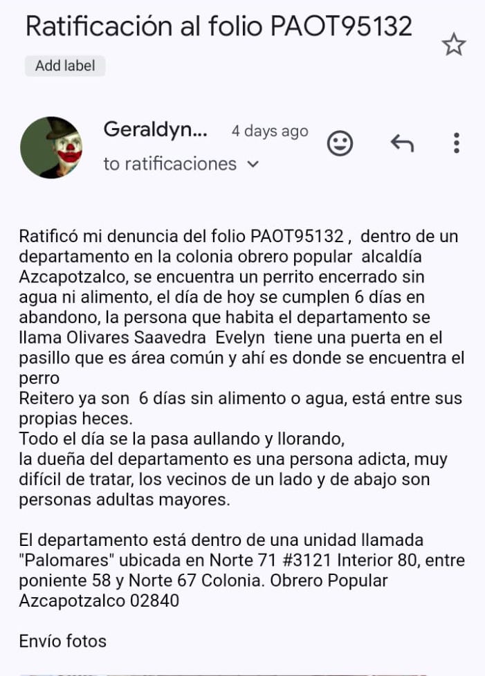 Alejandro Méndez  tweet media