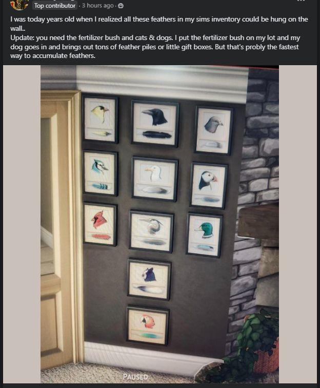 OppaPomme's tweet photo. WAIT....NO WAIT OMG...

#thesims #thesims4 #ts4 @thesims https://t.co/WoKbQjahIt