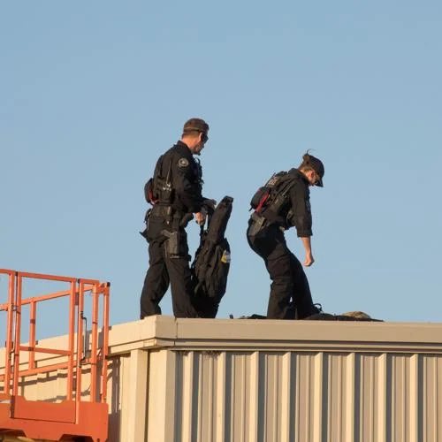 Cinema Shogun tweet media